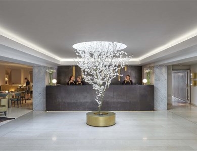 Hôtel Mandarin Oriental *****