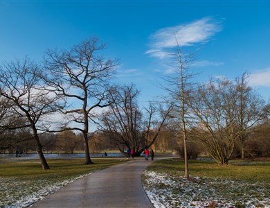 Le parc de Stromovka