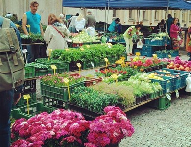 Le marché fermier de Náplavka