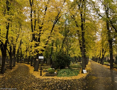 Les cimetières d’Olšany