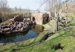 Le Zoo de Prague