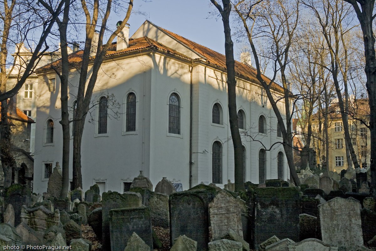 Vue d'un cimetière et de ses tombes, avec une synagogue et des arbres dénudés en arrière-plan.