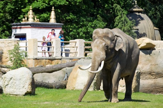5 Prague zoo