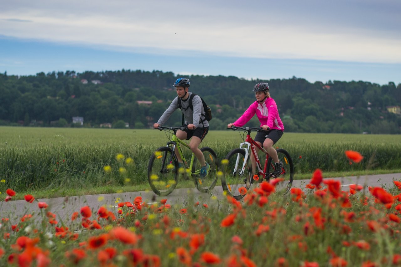 Deux personnes à vélo sur une route bordée de coquelicots et de verdure