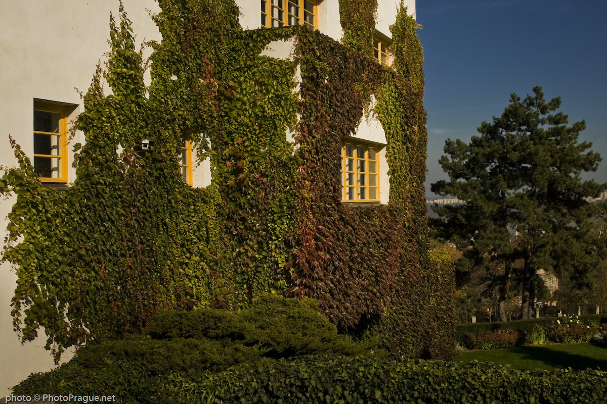 8 Villa Muller Prague