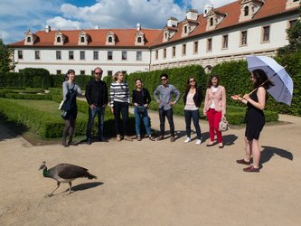 IMG 4126