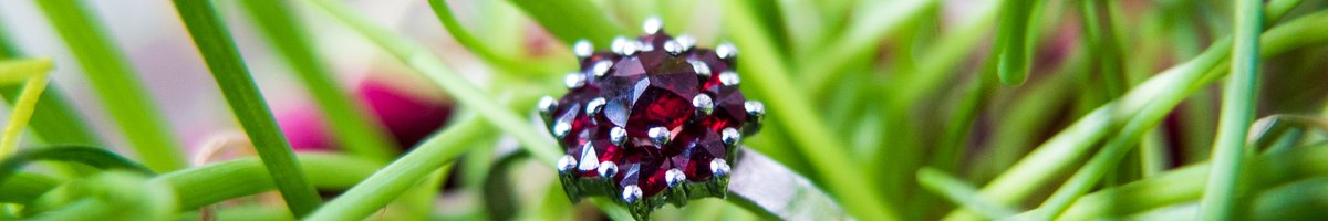 main picture Czech Garnet