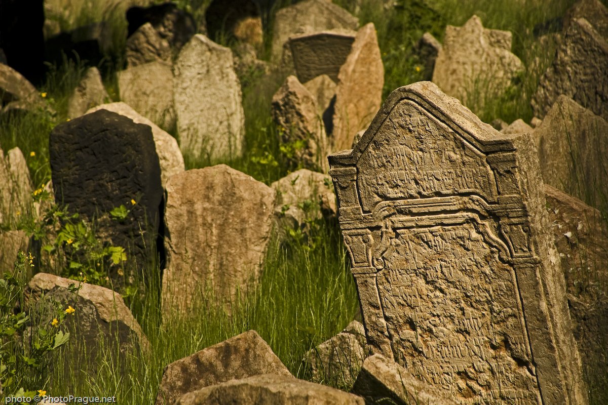 Sur l'herbe, de nombreuses pierres tombales portent des inscriptions en hébreu.