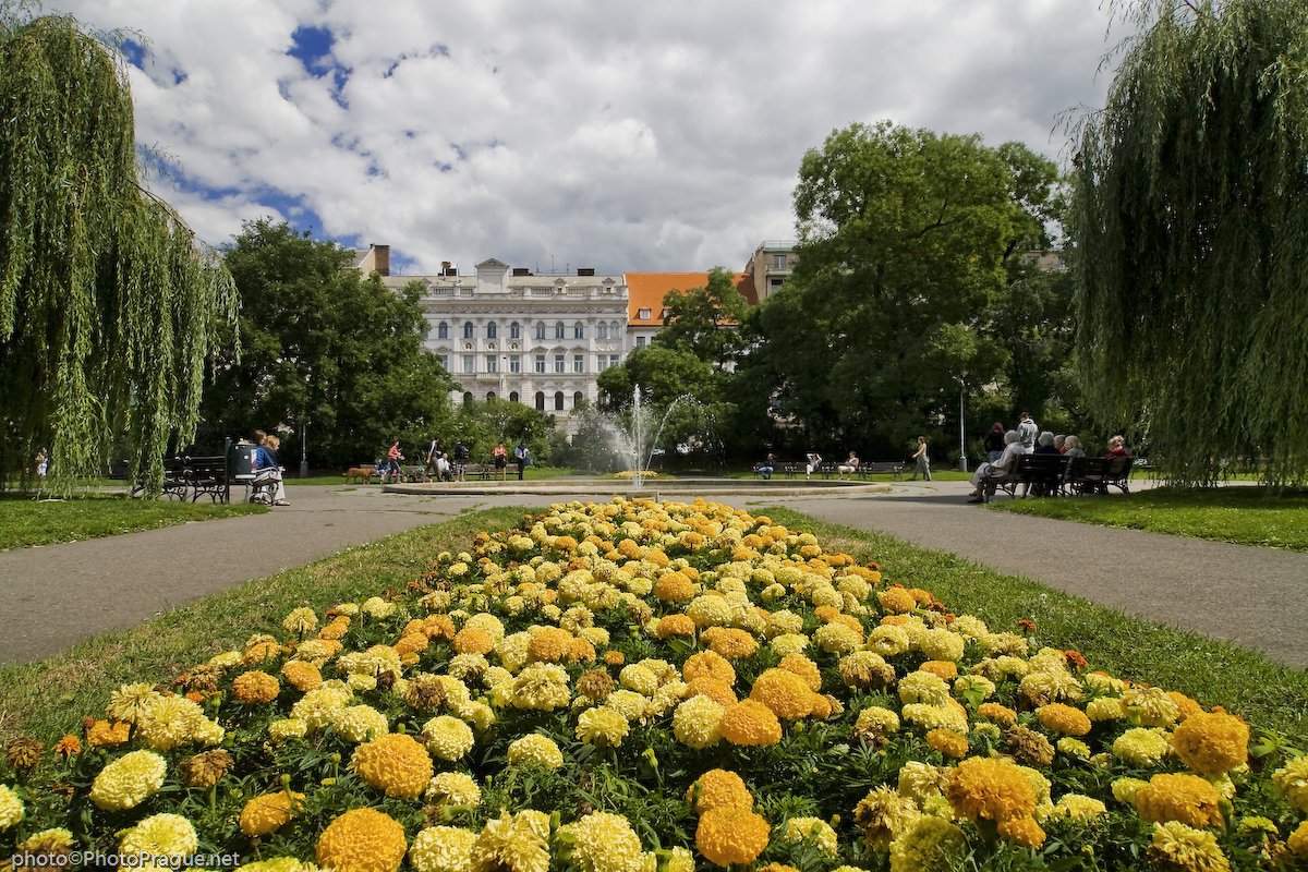 6 Karlovo namesti Prague