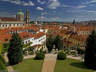 en:A rooftop garden, offering a sun-drenched view of a sea of orange-tiled roofs  ;fr:Jardin surélevé, un panorama ensoleillé sur une multitude de toits de tuiles orange